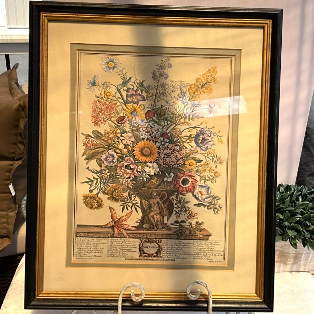 Robert Furber Vintage November floral print - The Twelve Months of Flowers